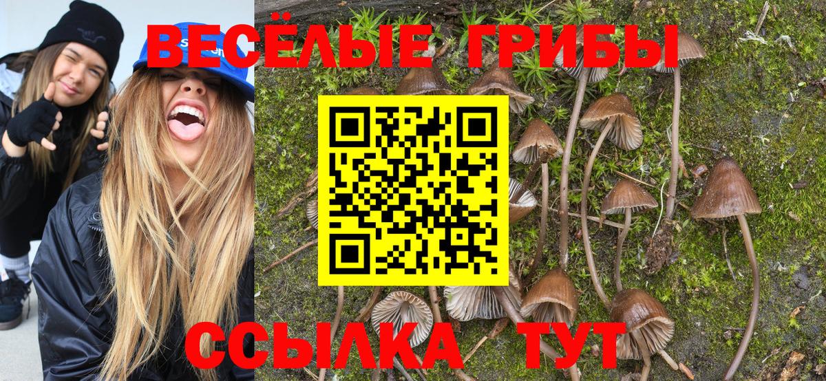 МДМА  Мелеуз  Cocaine  Вход с VPN  НБОМе  Меф МЯУ МЯУ   Марихуана 