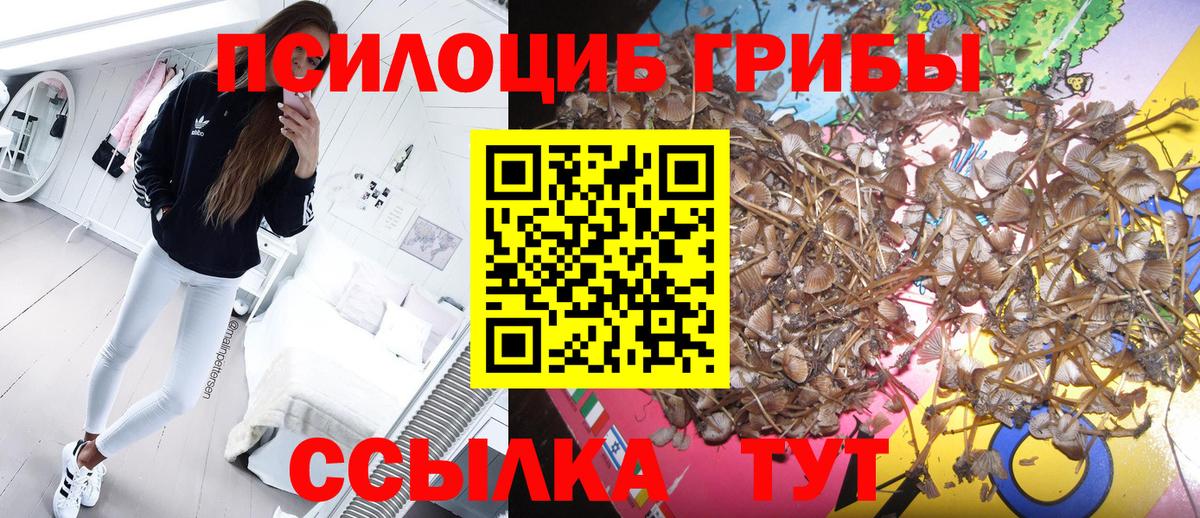 Мелеуз  Псилоцибиновые грибы мухоморы  Вход с VPN 